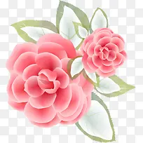 �ֻ�軨-������