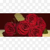 ��ɫõ����Ӱ-������