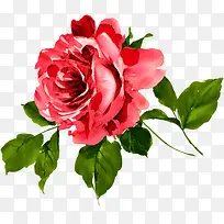 ºìɫˮ²ÊÏÊ»¨»¨¶ä-¿ÕÈôÍø ºìɫˮ²ÊÏÊ»¨»¨¶ä-¿ÕÈôÍø