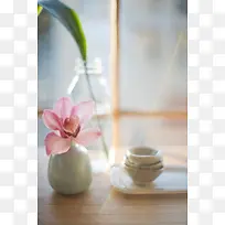 粉色鲜花晕光摄影-空若网 粉色鲜花晕光摄影-空若网