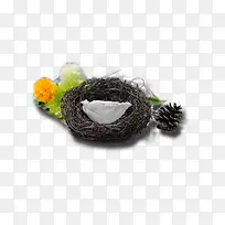 燕窝-空若网 燕窝-空若网