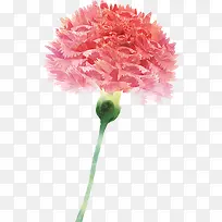 粉色鲜花水彩花朵-空若网 粉色鲜花水彩花朵-空若网