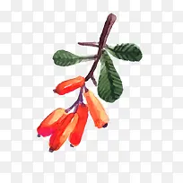 矢量卡通水彩水果png-空若网 矢量卡通水彩水果png-空若网