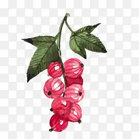 矢量卡通水彩水果png-空若网 矢量卡通水彩水果png-空若网