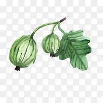 矢量卡通水彩水果png-空若网 矢量卡通水彩水果png-空若网