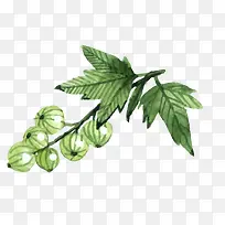 ʸ����ͨˮ��ˮ��png-������