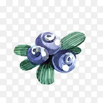 矢量卡通水彩蓝莓png-空若网 矢量卡通水彩蓝莓png-空若网