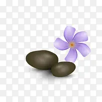 SPA素材-空若网 SPA素材-空若网