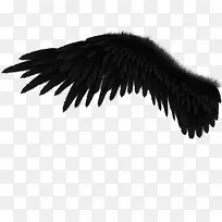 翅膀图案素材-空若网 翅膀图案素材-空若网