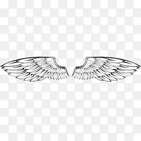 ��ɫ����ز�-������