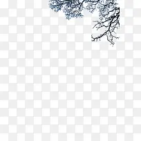 枯树枝-空若网 枯树枝-空若网