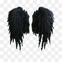 黑色羽毛翅膀素材-空若网 黑色羽毛翅膀素材-空若网