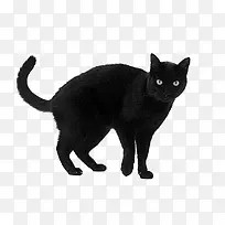 ��ɫè���ز�-������