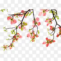 手绘梅花 黑色树枝png素材-空若网 手绘梅花 黑色树枝png素材-空若网