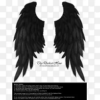 深黑色天使翅膀png素材-空若网 深黑色天使翅膀png素材-空若网