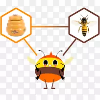 昆虫,蜜蜂,授粉动物-毒蛇-空若网 昆虫,蜜蜂,授粉动物-毒蛇-空若网