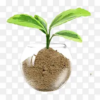 С�� ��ѿ-������