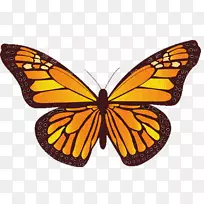 �ǻ�����ܰ���-������