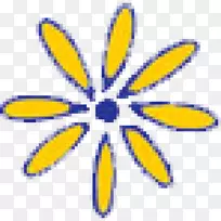 切花花瓣叶毯-空若网 切花花瓣叶毯-空若网