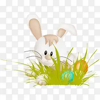 卡通吃草的小白兔-空若网 卡通吃草的小白兔-空若网