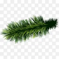 ��ͨ��ɫС��-������