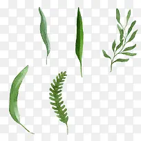 卡通小草树叶-空若网 卡通小草树叶-空若网