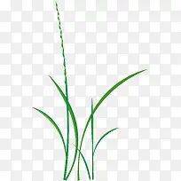 ��ͨ��ɫС��-������