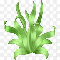 小草-空若网 小草-空若网