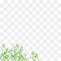 绿草边框-空若网 绿草边框-空若网