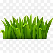 ÂÌɫС²Ý-¿ÕÈôÍø ÂÌɫС²Ý-¿ÕÈôÍø