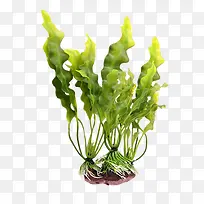 ��-������