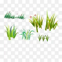 ��ɫС��-������