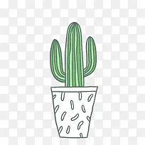 卡通手绘仙人掌-空若网 卡通手绘仙人掌-空若网