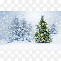 白色雪花绿色植物-空若网 白色雪花绿色植物-空若网