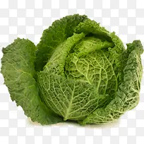 绿色植物蔬菜高清白菜-空若网 绿色植物蔬菜高清白菜-空若网