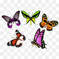 ��ɫ����װ��-������