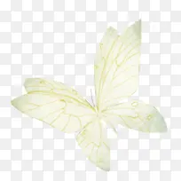 白色蝴蝶装饰-空若网 白色蝴蝶装饰-空若网