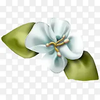 白色蝴蝶结装饰-空若网 白色蝴蝶结装饰-空若网