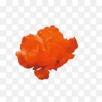 ��ɫ��-������