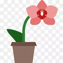电脑图标花兰花剪贴画兰花-空若网 电脑图标花兰花剪贴画兰花-空若网