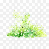 藤草-空若网 藤草-空若网