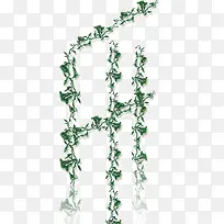 绿草-空若网 绿草-空若网