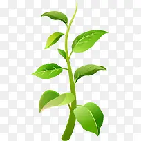 卡通藤蔓-空若网 卡通藤蔓-空若网