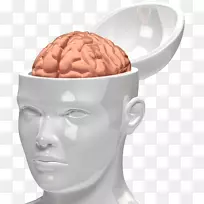 动画剪贴画-大脑-空若网 动画剪贴画-大脑-空若网