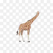 ����¹��ͨʸ���ز�-������