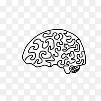 脑图大脑神经系统小脑-脑-空若网 脑图大脑神经系统小脑-脑-空若网