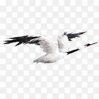 ���Ϸɵĵ����׶���-������