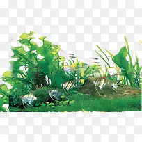 �ֻ�ݵ�-������