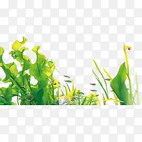 3D绿色海草-空若网 3D绿色海草-空若网