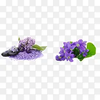 �����Ļ�-������